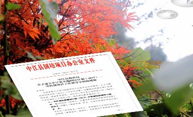 培训剪影--德阳中江县国培工作纪实